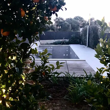 Ladini * ספליט